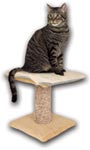 Outdoor Heated Kitty Pad