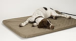 Lectro-Soft Outdoor Pet Bed