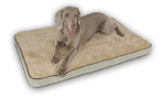 Cool Bed
