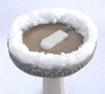 Birdbath Ice Eliminator