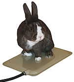 Small Animal Heated Pad