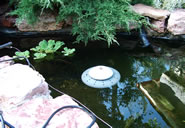 Pond heater in the ice.