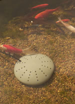 Thermo-Pond Submersible Pond De-icer