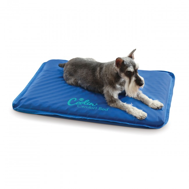 Coolin Comfort Bed Cooling Dog Beds Amp Bowls Dogs