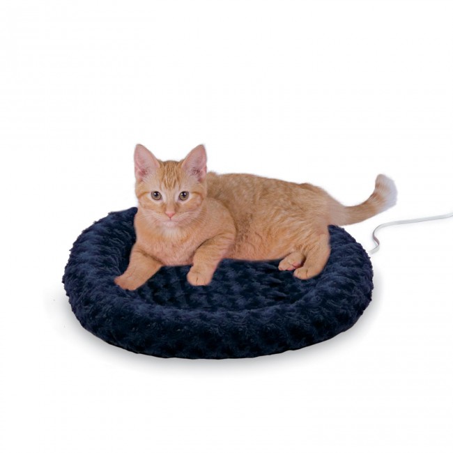 K H Thermo Kitty Fashion Splash