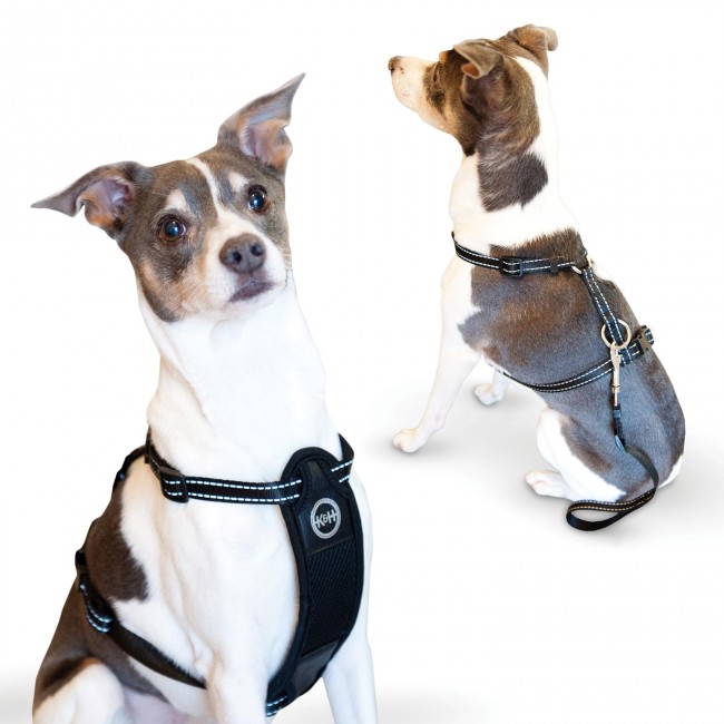 K h Pet Products Travel Safety Pet Carrier 2024 connectedthebook