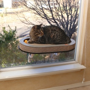 Kitty Sills Ez Mount Cats